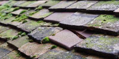 Chadwell Heath roof repair costs
